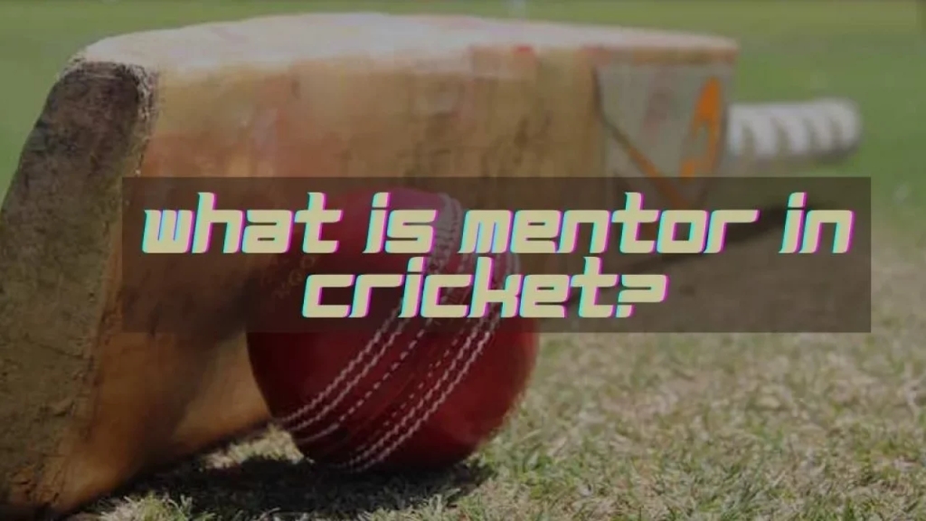 What do you mean by mentor in cricket